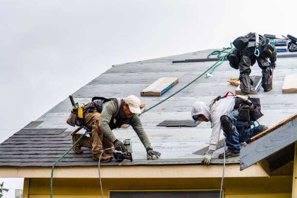Professional Storm Damage Roof Repair technician working in Westport, IN